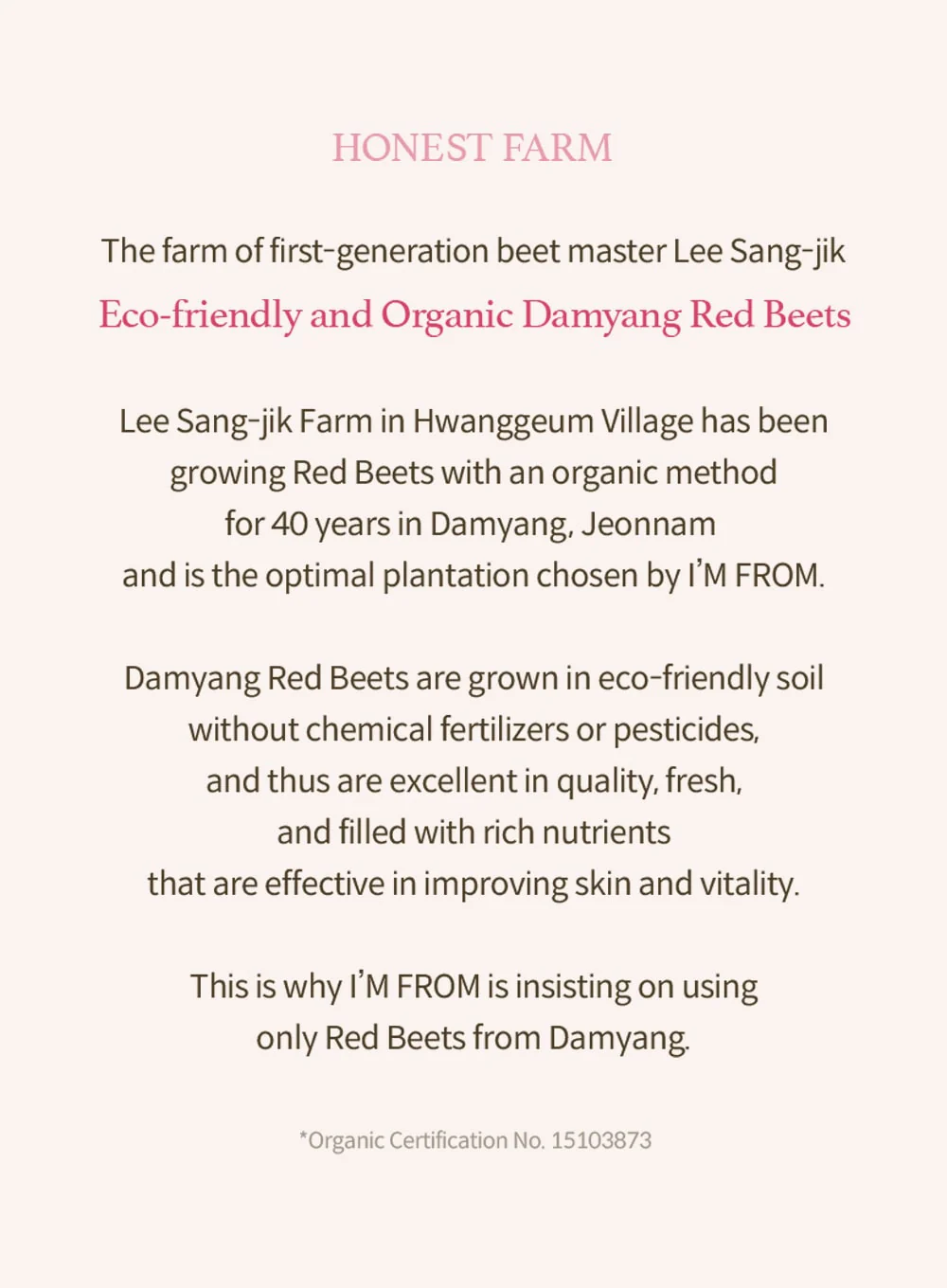 Beet Purifying Mask (110g) - Image 20