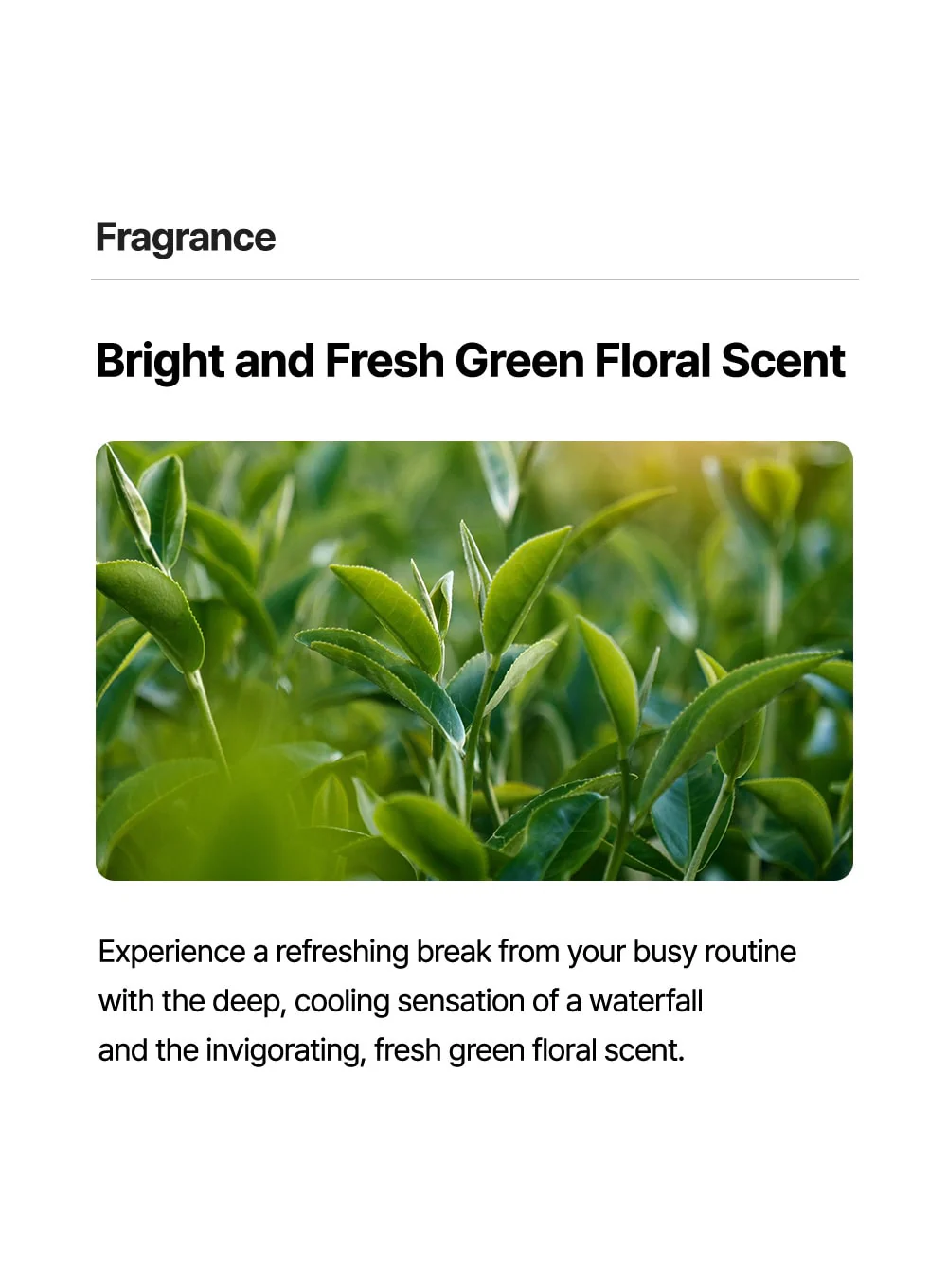 Born Panthenol My Recipe Cream (50ml) - Image 15