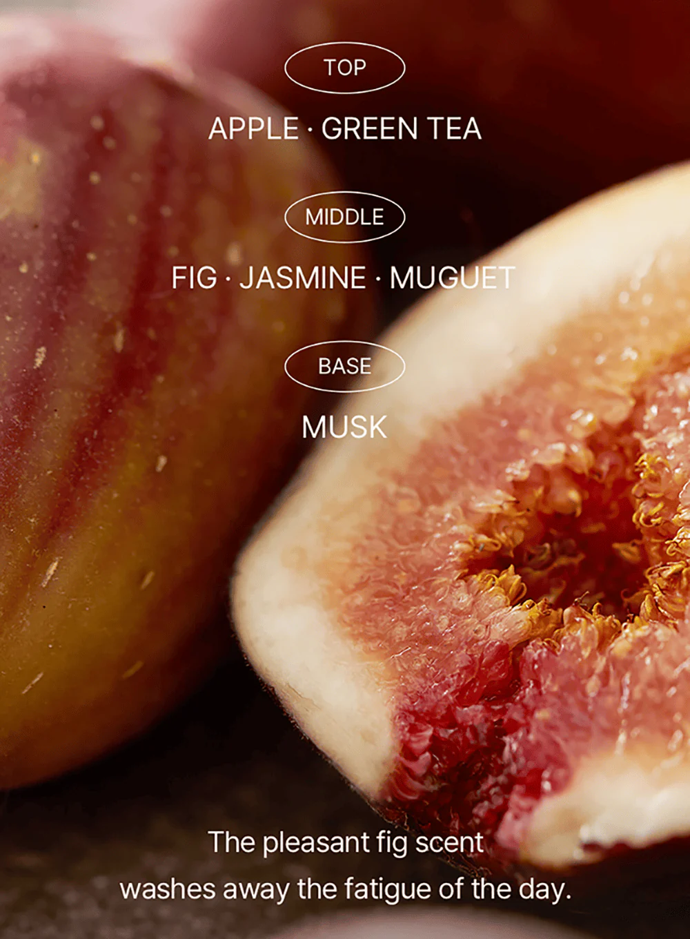 Fig Foam Cleanser (150ml) - Image 15