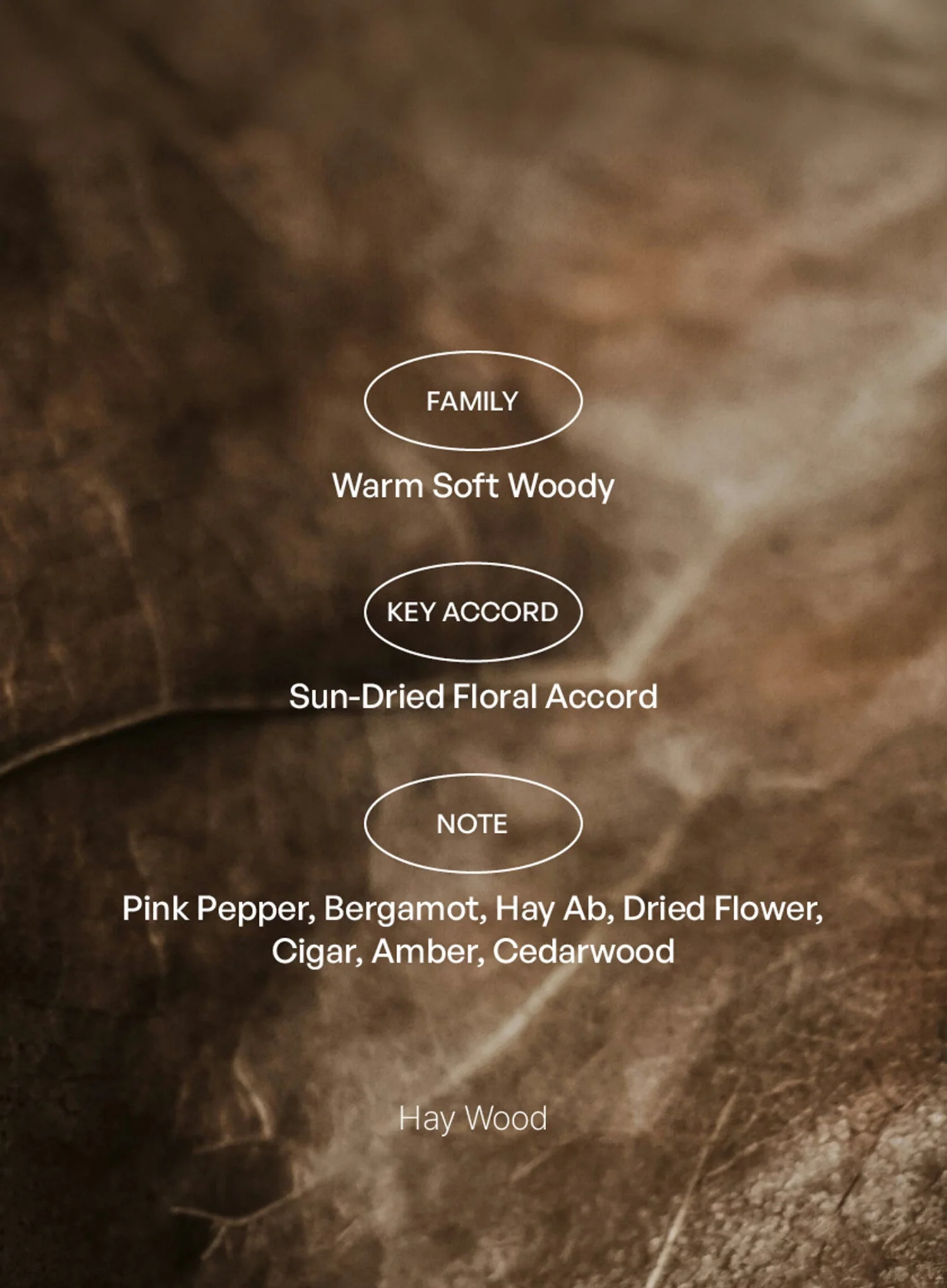 Hay Wood ; Andong EDT (10ml) - Image 5