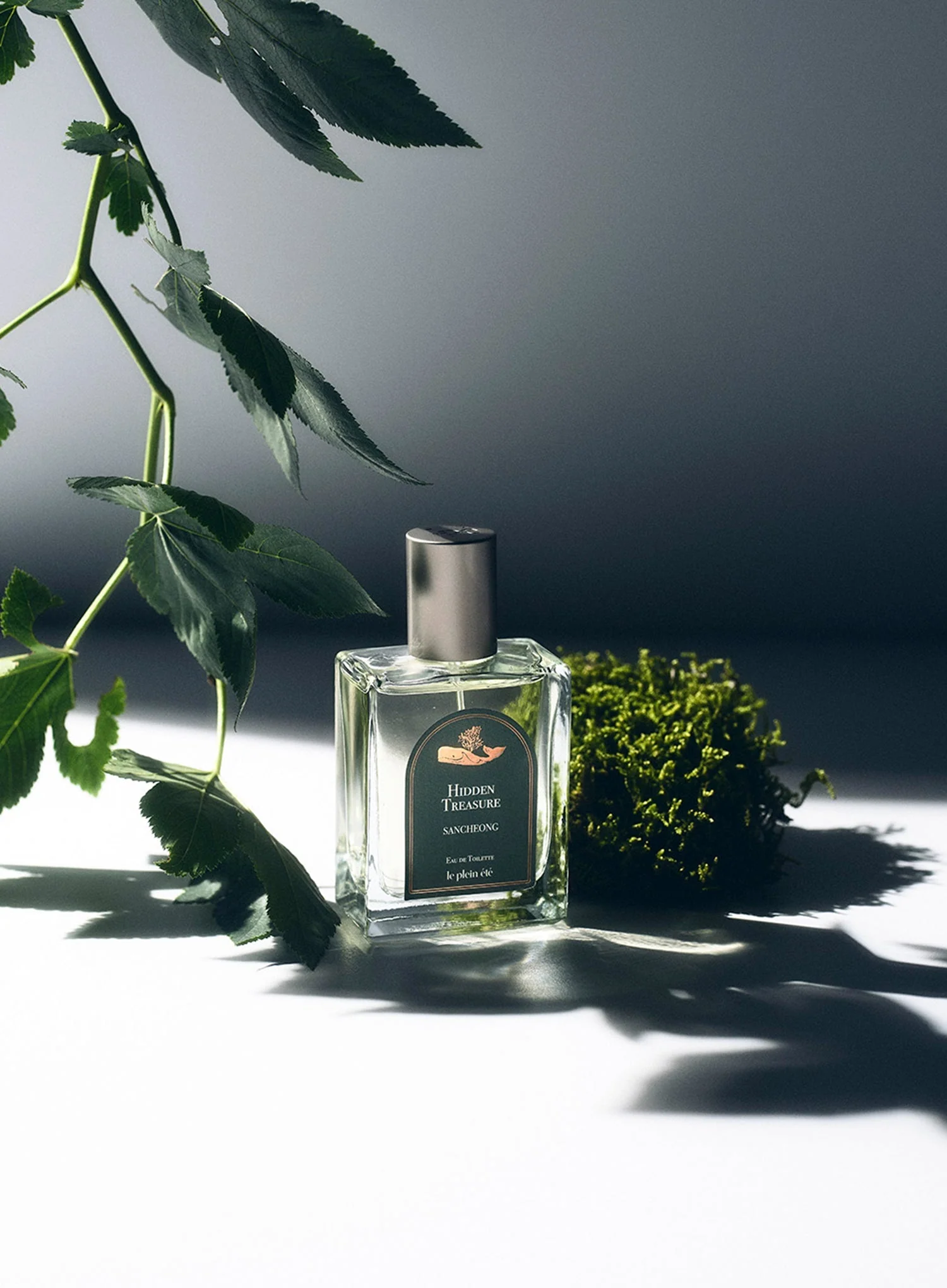 Hidden Treasure ; Sancheong EDT (50ml) - Image 2