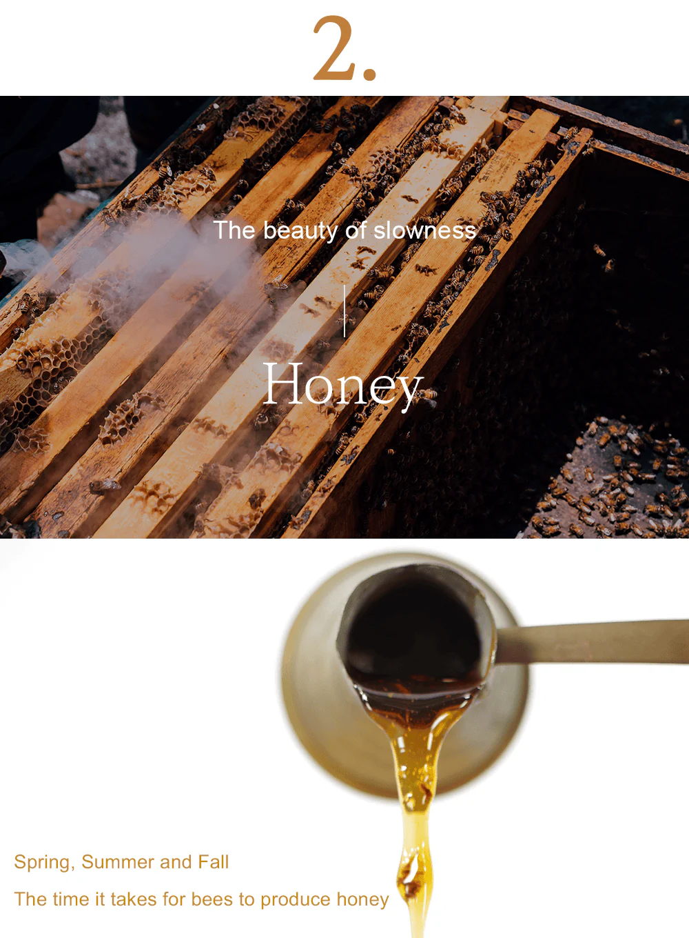 Honey Glow Cream (50g) - Image 11