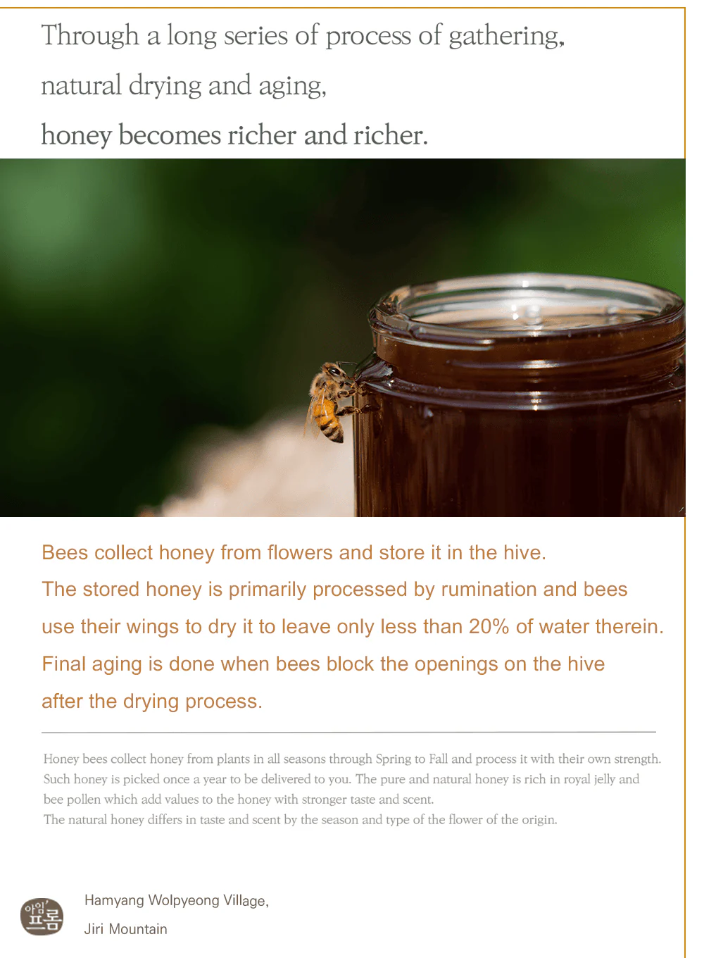 Honey Glow Cream (50g) - Image 12