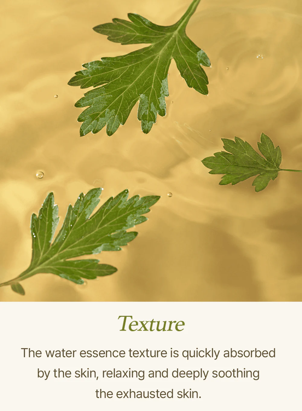 Mugwort Sheet Mask (23ml / 5ea) - Image 10