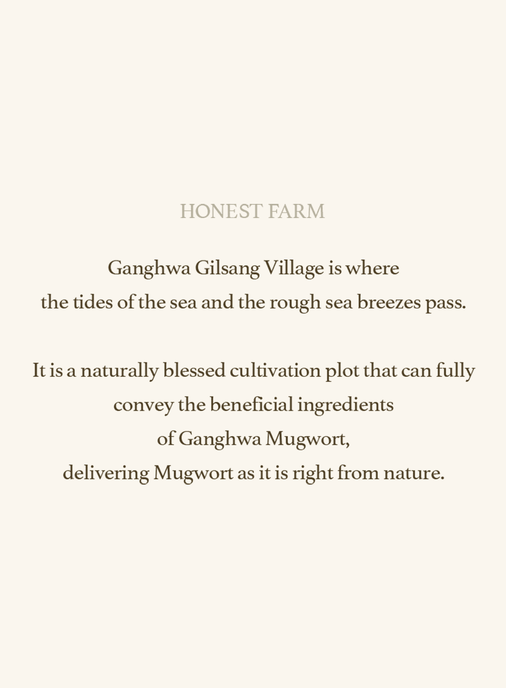 Mugwort Sheet Mask (23ml / 5ea) - Image 15