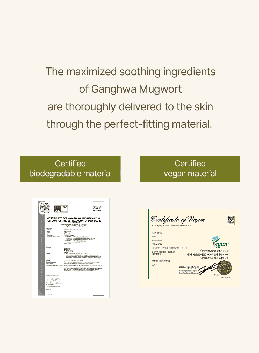 Mugwort Sheet Mask (23ml / 5ea) - Image 7