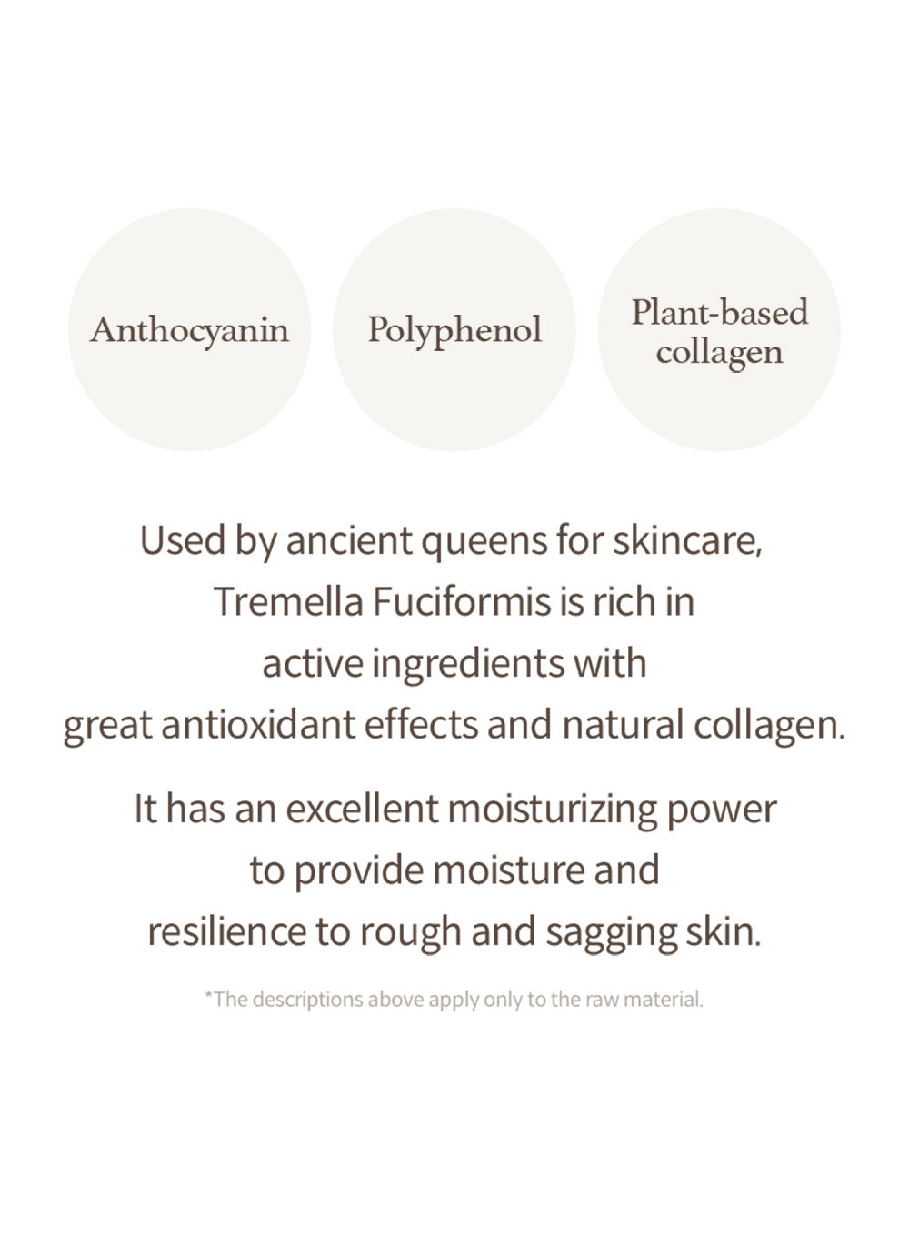Mushroom Collagen Cream (50ml) - Image 4