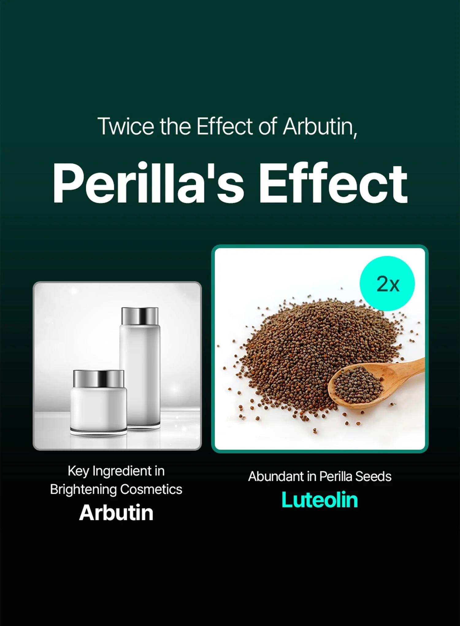 Perilla Sun Serum (50g) - Image 3