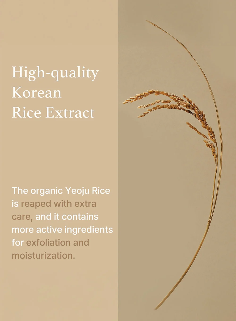 Rice Mask (110g) - Image 5