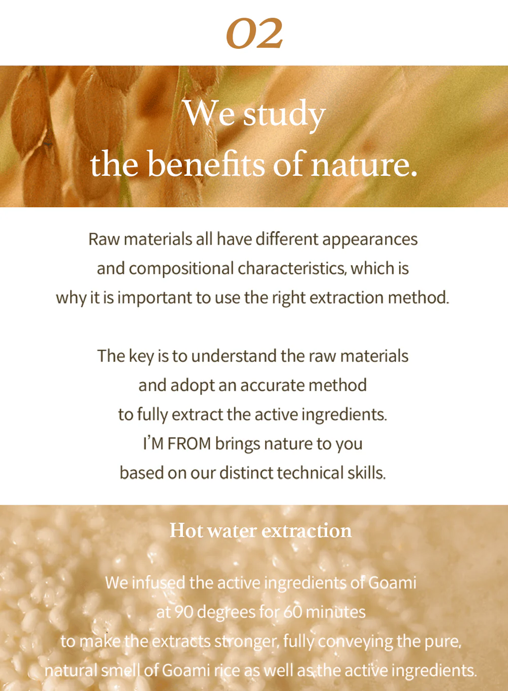 Rice Sunscreen (50ml) - Image 16