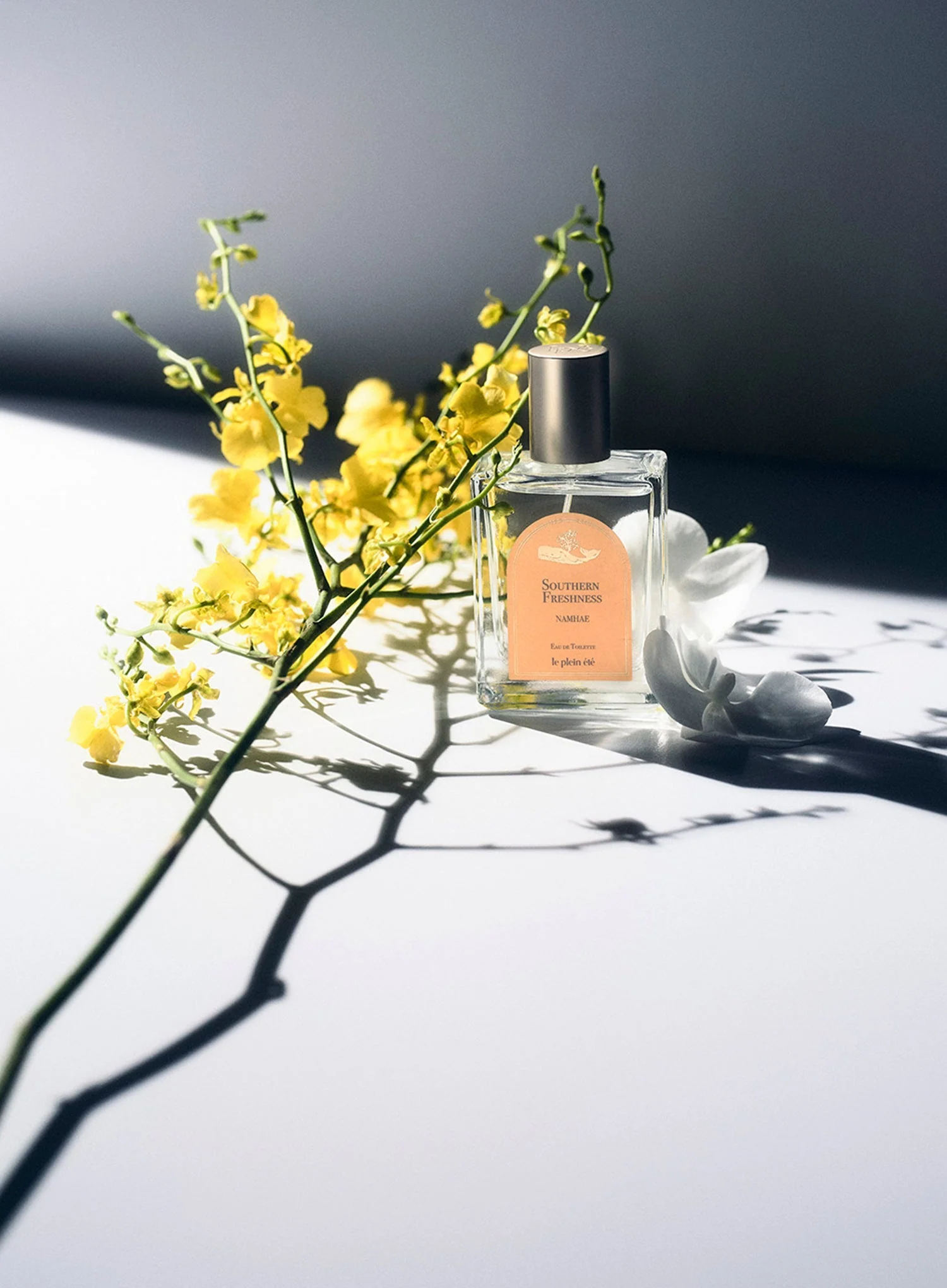 Southern Freshness ; Namhae EDT (50ml) - Image 2