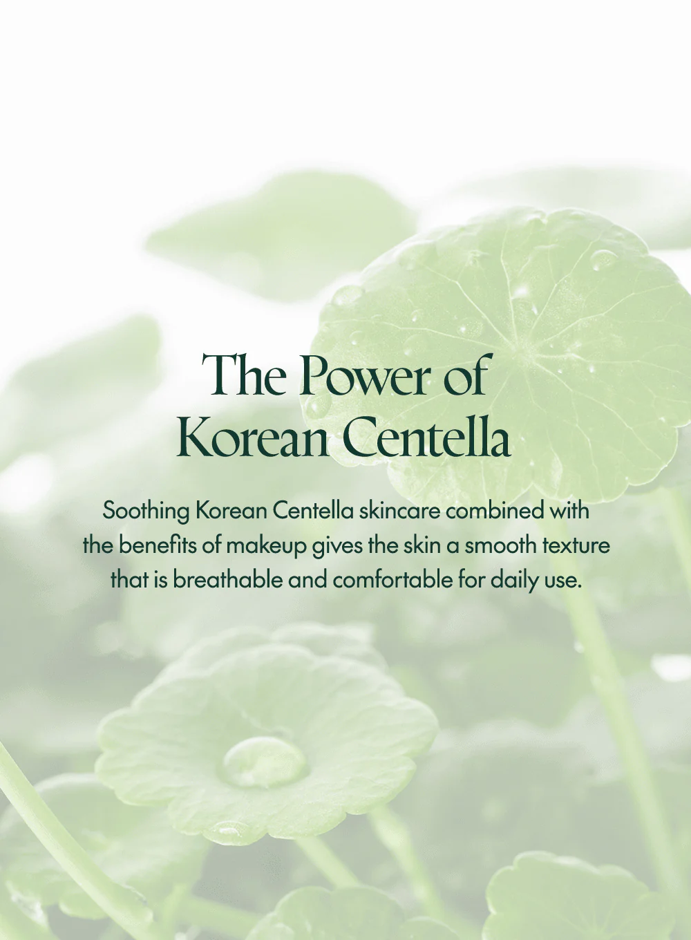 Wonder Releaf Centella  BB Cushion (15g * 2ea) - Image 12